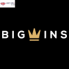 Big Wins casino logo