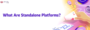 What Are Standalone Platforms