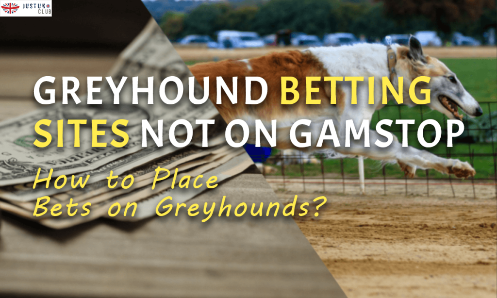 Greyhound Betting Sites Not on GamStop